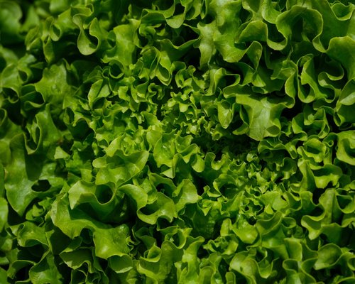 healthy fresh natural food lifestyle